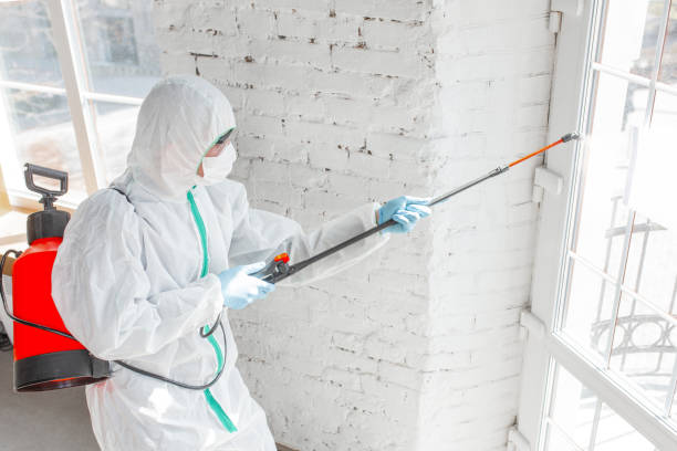 Best Biohazard Mold Removal  in Riverbank, CA